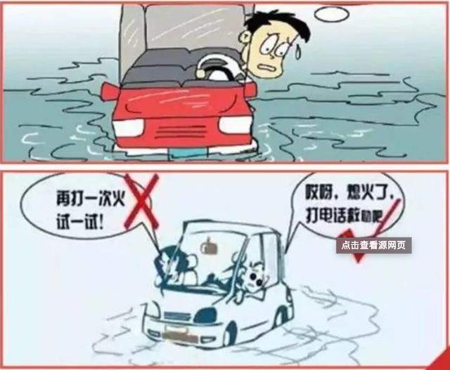 听说你的特斯拉还能当船用，车主坐海里钓鱼可还行？