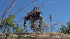 狗，最适应崎岖地形的机器人！美军弃用，中国却方兴未艾