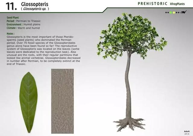 病毒流行，山火肆虐，南极渗“血”，人类的危机已经开始？