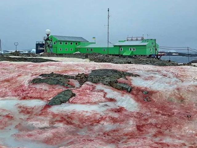 病毒流行，山火肆虐，南极渗“血”，人类的危机已经开始？