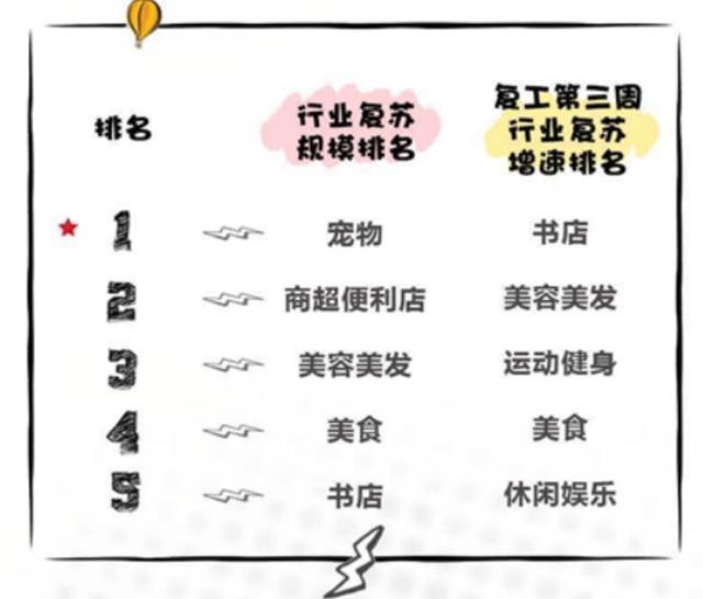 云生活大数据来了！宠物领域复工率排第一 阅读 美容美发增长最快