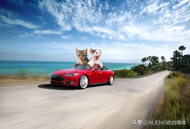 报告称在自动驾驶上，特斯拉排名倒数第二，你服不服？