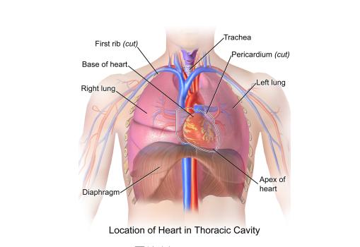 拍CT不再需要等医生诊断！AI自动出结果，放射科无人化迈出一大步