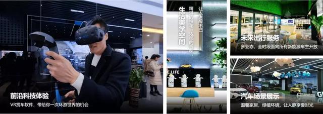 不怕特斯拉当狼，就怕把自己当羔羊！自主品牌谁最能打狼？