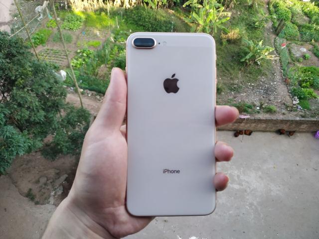 128GB版的iPhone XR和iPhone8 Plus同价，你怎么选？