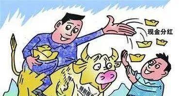 良心企业！陌陌一直赚钱，一直发钱，股东一直爽