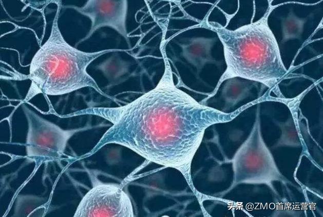 世界十大新科技