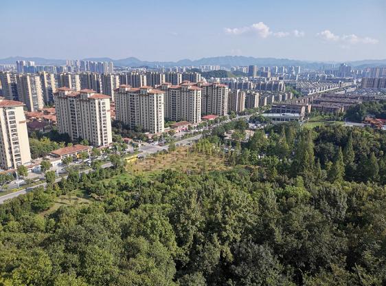 平地一声惊雷起，区块链跨境支付要“变天”了？