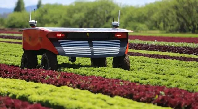 在跨界中发现价值：风投眼中的2020农业科技投资趋势