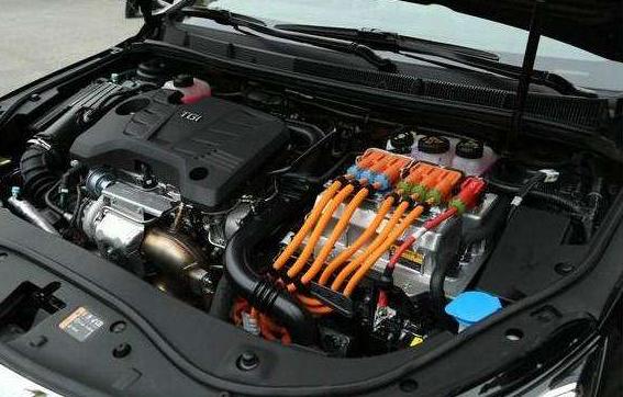 第一批“吃螃蟹”买绿牌车的人怎么样？车主：早知今日，悔不当初