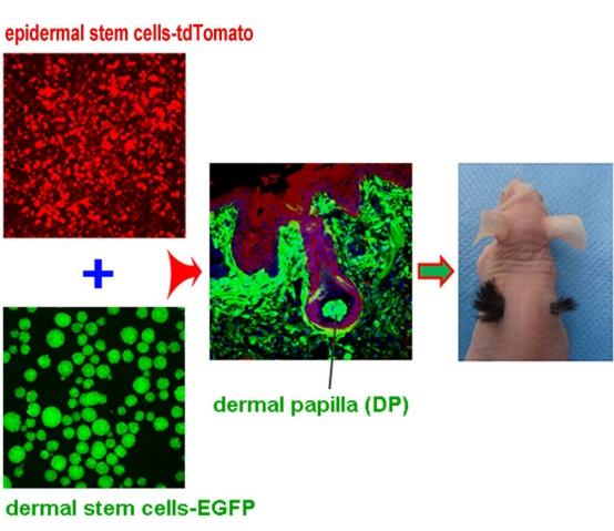 清华大学深圳国际研究生院项目获广东省科技奖自然科学奖一等奖