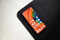 P40也想要竞争旗舰机皇？网友：这么“偏科”可不行