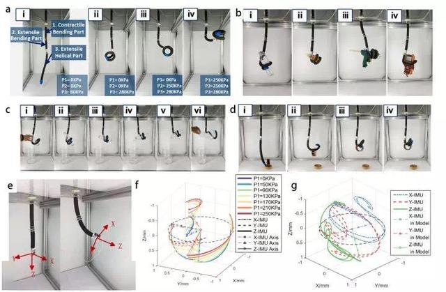 哈工大造出柔性机器人，人造肌肉能和象鼻一样灵活了！
