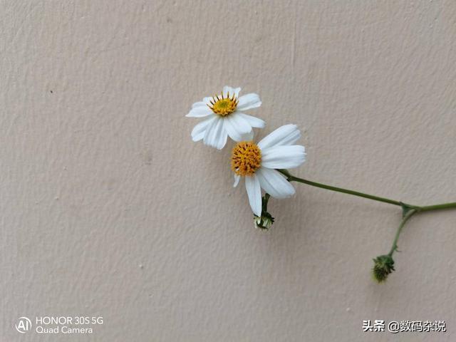 麒麟820首发机究竟值不值？2399元起的荣耀30S评测