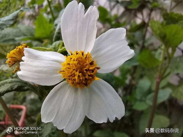 麒麟820首发机究竟值不值？2399元起的荣耀30S评测