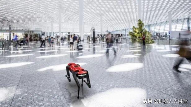 首发！全球行走速度最快的量产机器狗，蔚蓝阿尔法机器狗AlphaDog