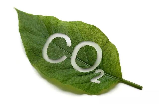 取代燃油车为时尚早，浅谈当前新能源车5大弊端