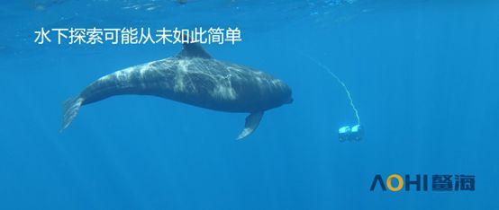 深海竞争领域“新蓝海”：国内水下机器人最全解读