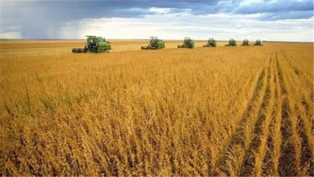 加拿大反水了？首度松口解封华为，呼吁中国赶快签订600万订单