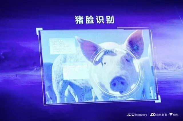 疫情之下，腾讯、阿里、京东加力农业，传递了哪些重要信号？