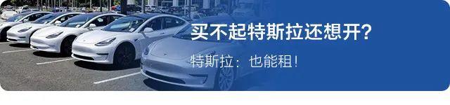 国家电网新桩将狂增10倍！以后不愁没地充电了？