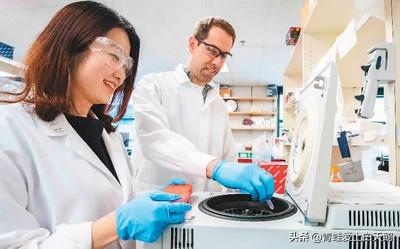 美国开始慌了！大批人才集体返华，西方：一直在替中国培养人才