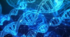 科学家研发出能分辨人粪和狗粪的AI