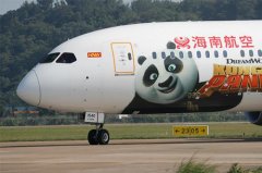 海航将被接管？知情人士回应：传闻不准确