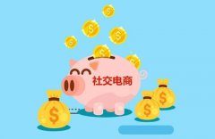 社交电商如何走上了神台？