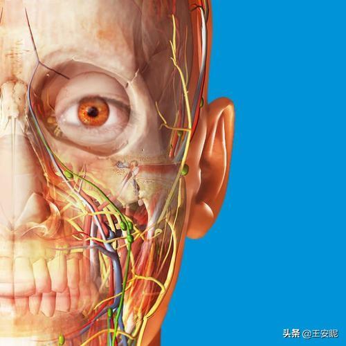 推荐几个实用好玩的APP