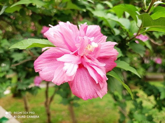 用“芯”带来熟悉的感动，Redmi 10X Pro评测