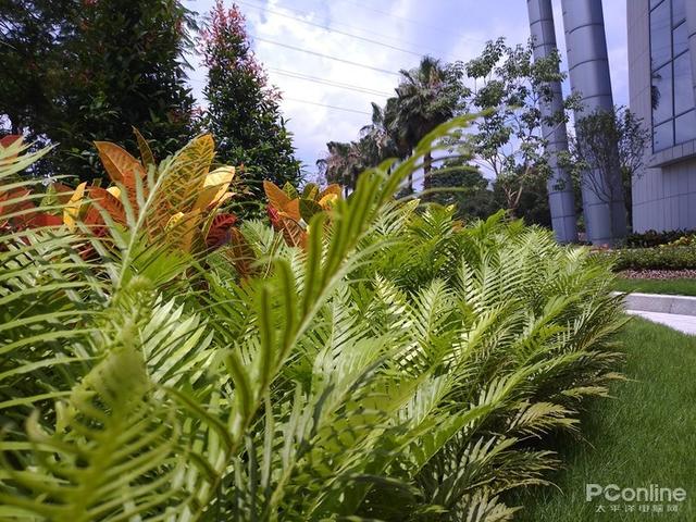 海信阅读手机A5Pro 彩墨屏CC版评测：彩墨丹青，享阅芳华