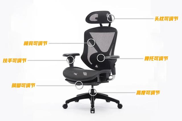 为你的老腰「续命」，老罗吹爆的办公椅升级款来了