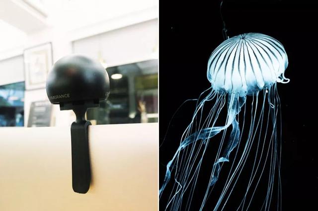 百元买到大牌香，告别异味，连 DIOR 和 CHANEL 都慌了