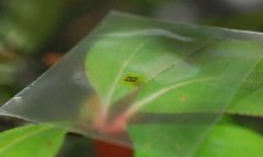 在柔性木质薄膜上制成的关键通信组件