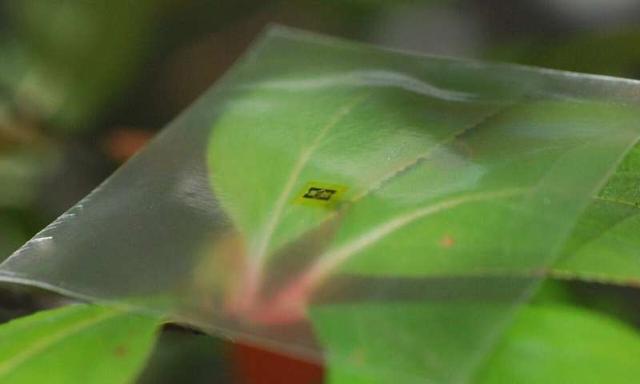 在柔性木质薄膜上制成的关键通信组件