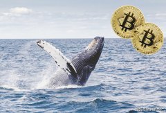  比特币价格暴涨是人为因素造成的？