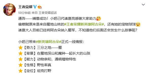 王者荣耀两大新英雄,红拂阿古朵皆与动物有关,玩家:有可爱打野了!