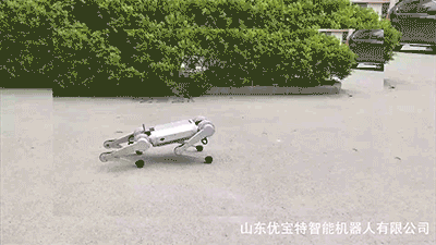 1.8万元一只，全球超低价的YoboGo机器狗震撼上市