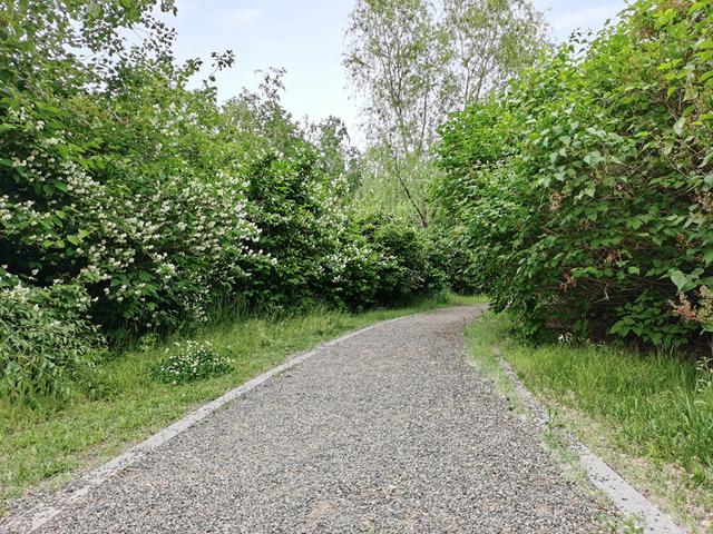 仅799，小米低调发布Redmi 9，米粉：又一款堆料手机