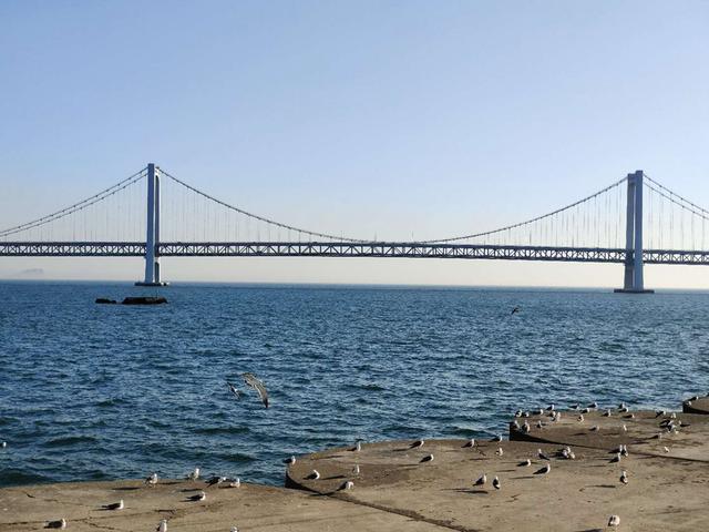 仅799，小米低调发布Redmi 9，米粉：又一款堆料手机