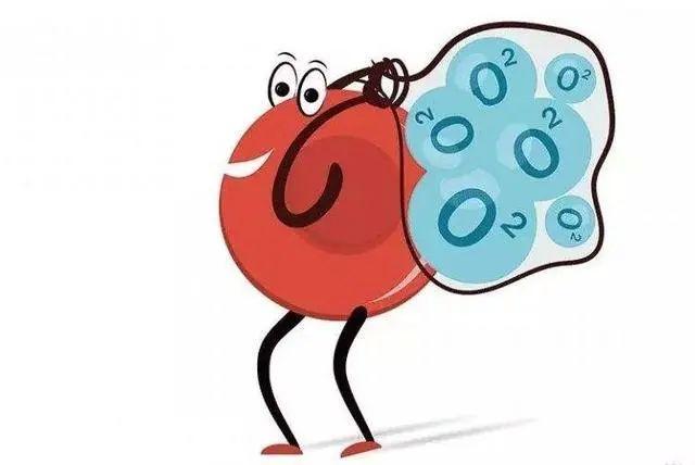 智能手环真的智能吗？三组实验数据告诉你