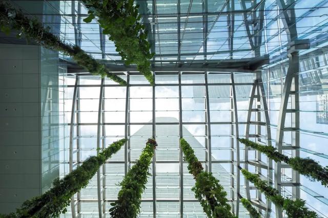 高300米，深圳南山区地标性摩天楼——中洲控股金融中心