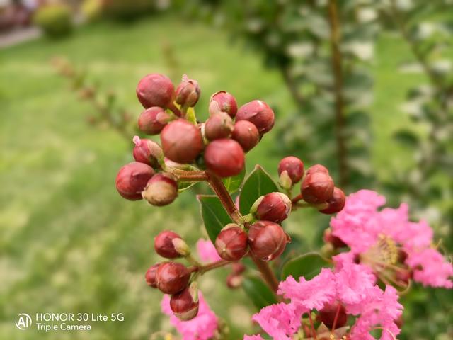 颜值实力样样都有！荣耀30青春版首发评测：5G时代的最强千元机