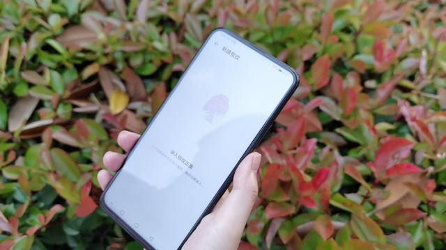 最便宜5G手机诞生，4300mAh+5G全网通，可以闭着眼随便买