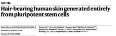秃顶治愈有望！哈佛科学家培养出可以长出毛发的皮肤类器官