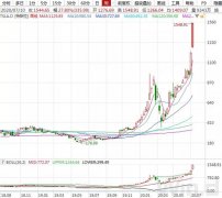 新能源车有多火？