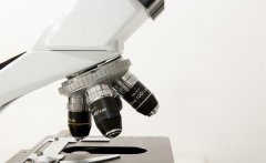 人工智能角逐医疗领域，而AI软件和数据功不可没