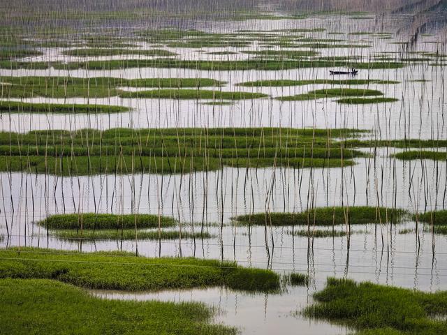 最好的影像旗舰，vivo X50 Pro+记录生活的美好，样张征服你