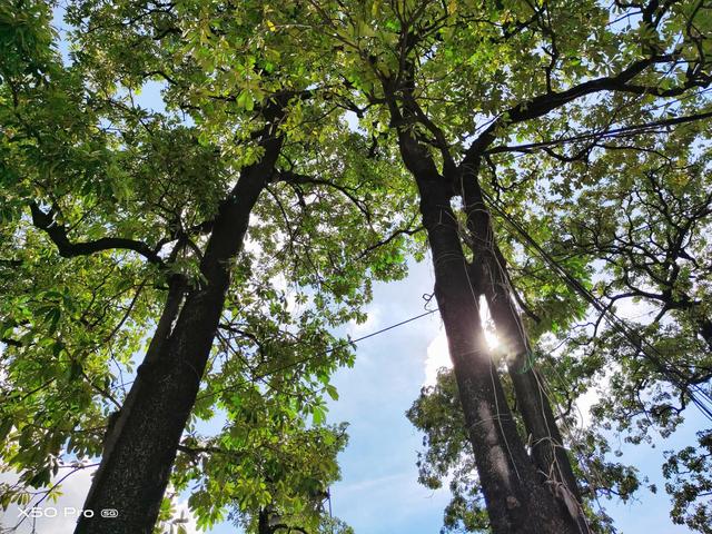 vivo X50 Pro评测：超感微云台，防抖效果提升200%